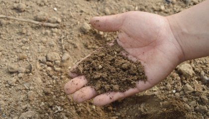 Giornata del suolo: in Italia il cemento ne divora 2 metri quadri al secondo
