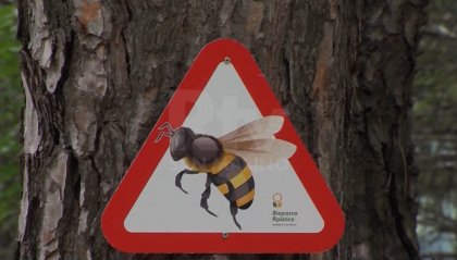 Anche San Marino celebra la Giornata mondiale delle api
