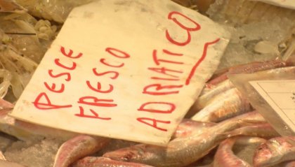 Inizia il fermo pesca in Adriatico, ma è ancora possibile trovare pesce fresco