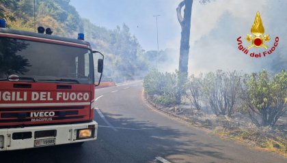 Alto rischio incendi boschivi, scatta dal 3 agosto lo stato di grave pericolosità in Emilia Romagna