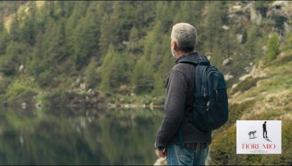 Montagna da film: il fiore "Rosa"