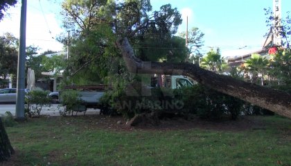 Allerta rossa in E.R: cade un albero a Rimini, il Lamone rompe ancora l'argine nel Ravennate