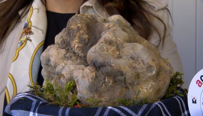 Settimana della cucina italiana nel mondo: a San Marino un tuffo nel mondo del tartufo