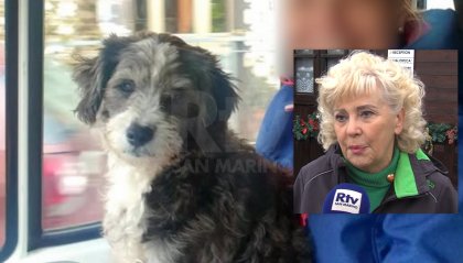 Cagnolina morta a San Marino Città, si ipotizza avvelenamento. L’APAS rilancia l’appello per pene più severe