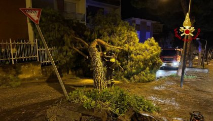 Allerta meteo nelle Marche, 350 interventi dei vigili del fuoco