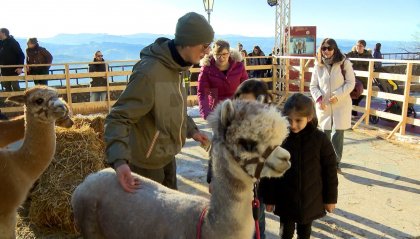 Turismo: boom di presenze, domenica oltre 6.600 persone in funivia