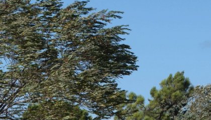 Allerta meteo in Romagna: attesi venti di burrasca e mare agitato