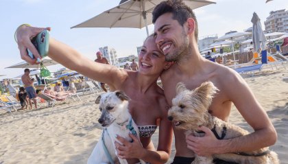 Vacanze a quattro zampe: Rimini si conferma regina dell’ospitalità pet-friendly