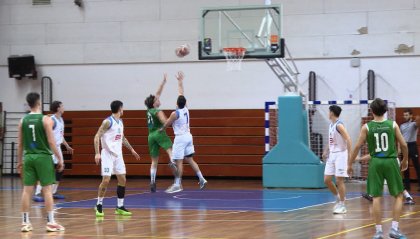 Pallacanestro Titano senza patemi, Ancona battuta 86-69