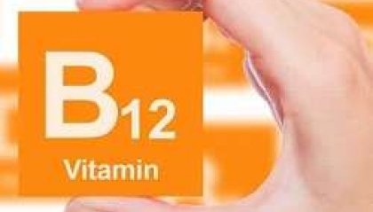 Bocconi di salute - Vitamina B12