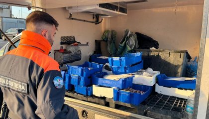 Ravenna al centro di "e-fishing": sequestri e controlli su 200 tonnellate di pesce irregolare